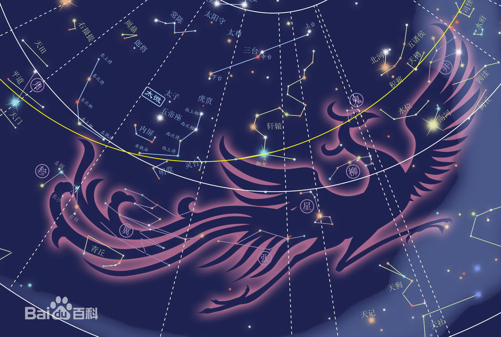 澳门白虎精准玄武版,高度协调实施_BDD77.565高级版