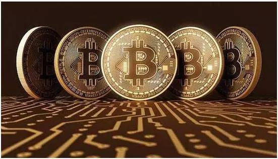 三肖必中三期必出凤凰网2023,详细数据解读_WLS57.182自由版