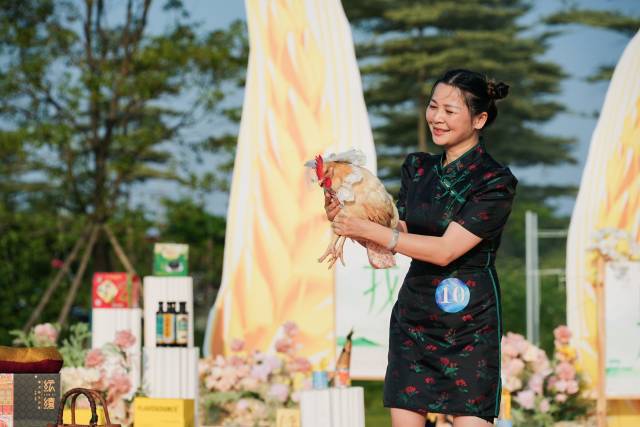 怀集女孩阿妹的最新日常故事及最新消息揭秘