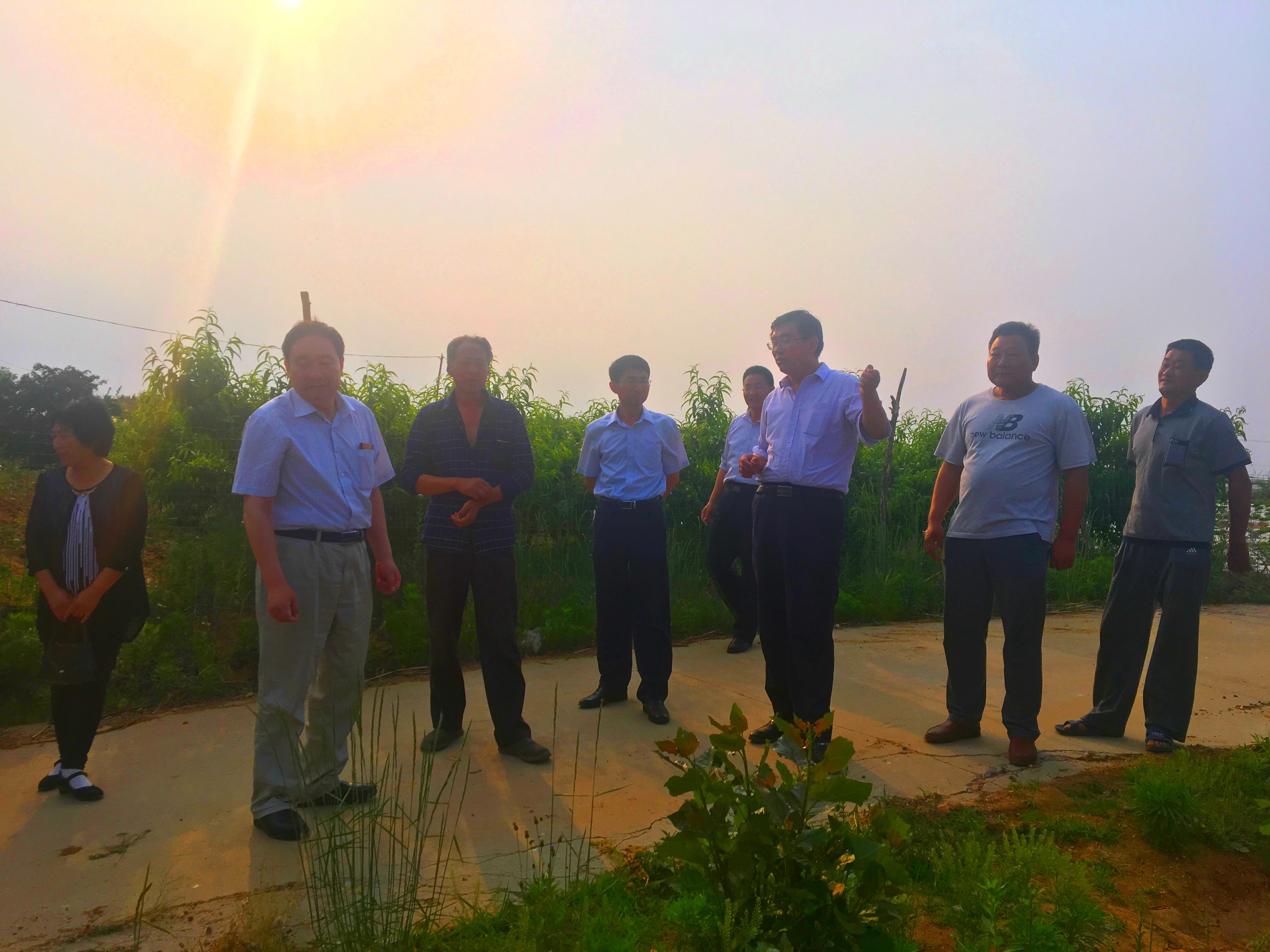 沂南县最新领导班子成员概览