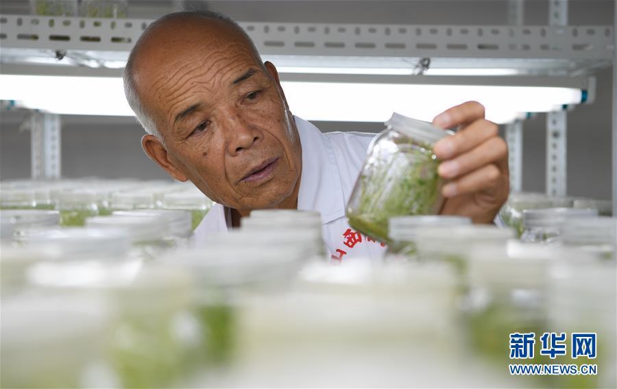 山西省最新县市规划概览