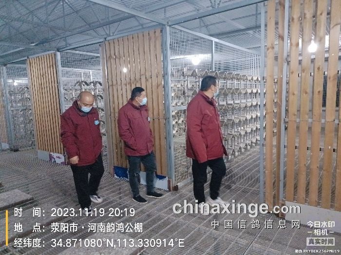 周口鸿鑫公棚最新公告,小巷深处的独特风味盛宴揭晓