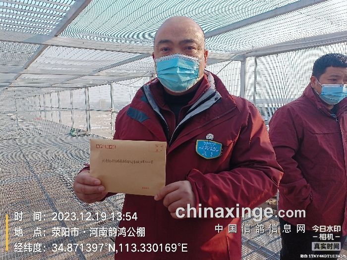 周口鸿鑫公棚最新公告,小巷深处的独特风味盛宴揭晓