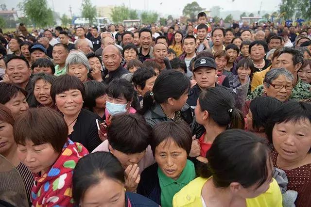 上蔡电信诈骗最新动态及风险警示🚨警惕身边的诈骗风险!