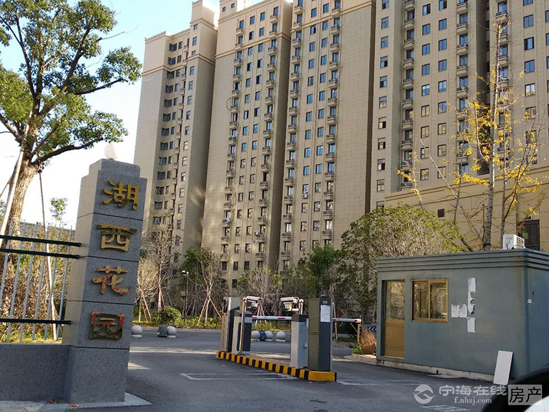 建西花园最新动态，小巷深处的独特风情揭秘