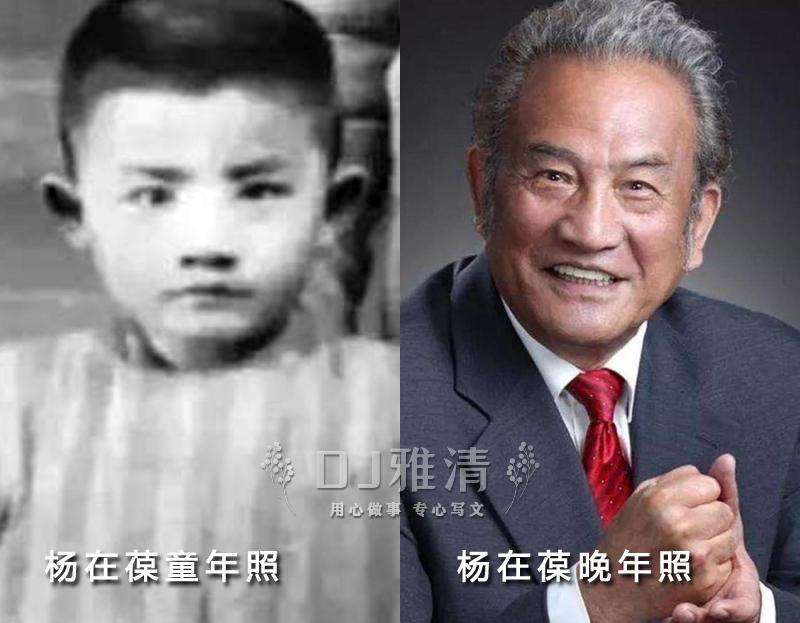 我真的是大明星最新聚焦，现象与观点探讨