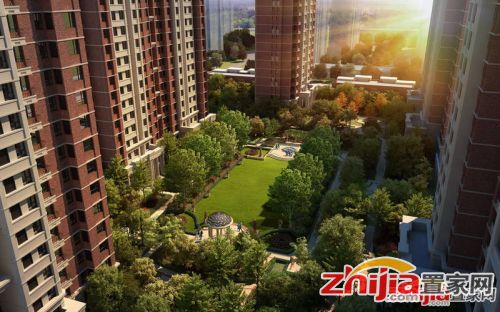 智高常春藤最新动态揭秘🌟