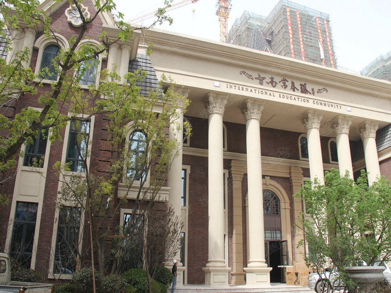 智高常春藤最新动态揭秘🌟