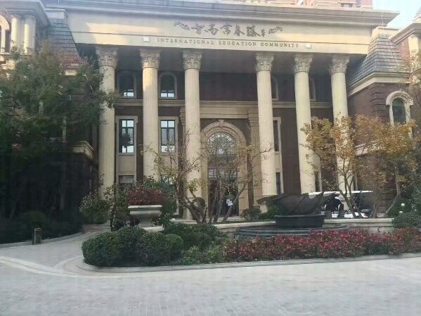 智高常春藤最新动态揭秘🌟