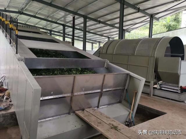 镇巴县仁村镇最新动态概览