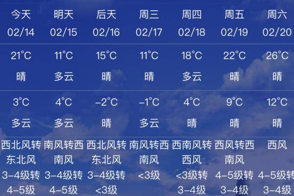 2024今晚新澳门开奖号码,深入登降数据利用_时空版86.945