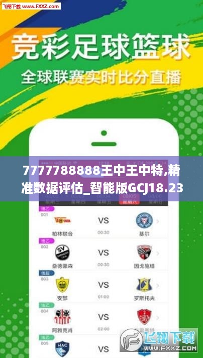 77777788888王中王中特亮点,实际调研解析_美学版37.602