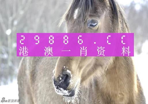 澳门一肖一码100%精准,持续改进策略_量身定制版63.112