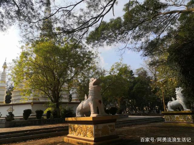 耿马塔最新高科技产品重塑未来，科技革新引领生活新篇章