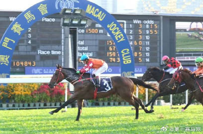 2024新澳门马会传真,全面实施策略设计_HCV57.584创意设计版