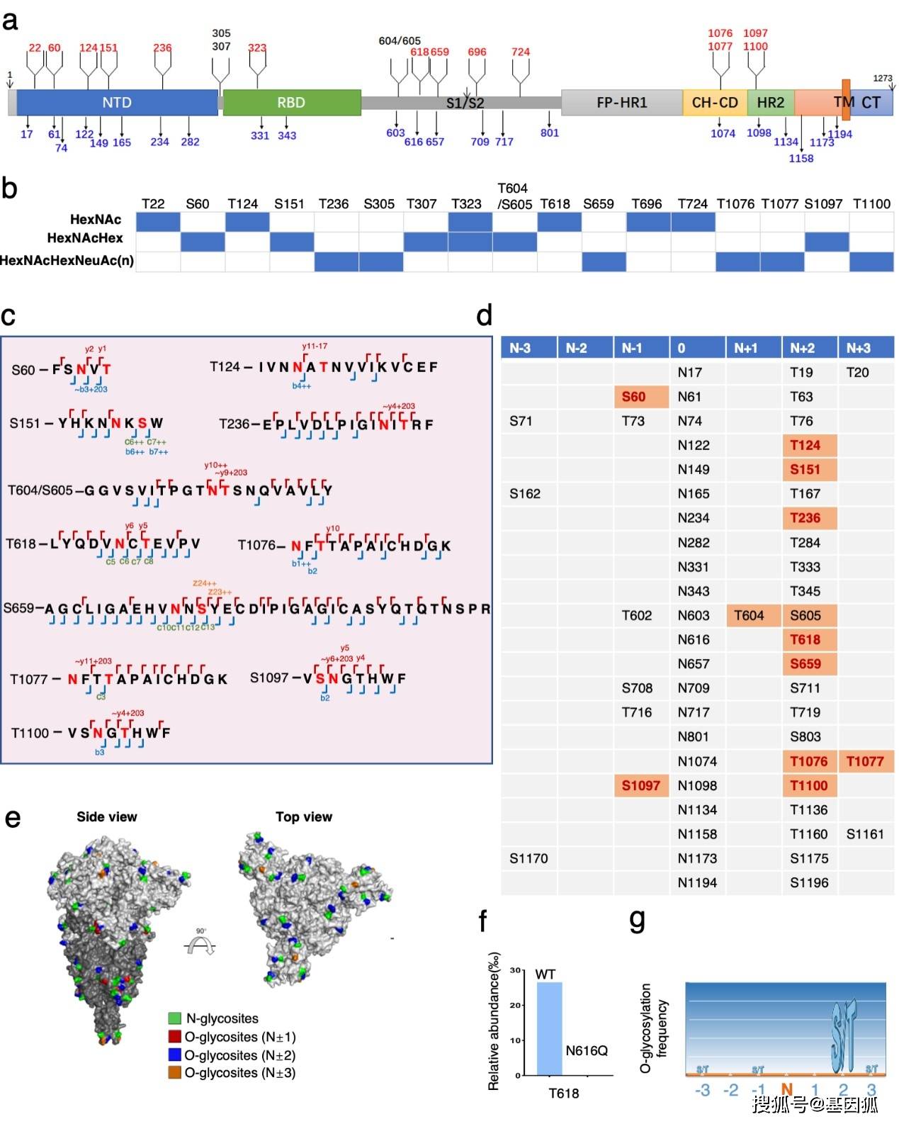 新澳门开奖记录新纪录,精细化实施分析_XWW57.477用心版