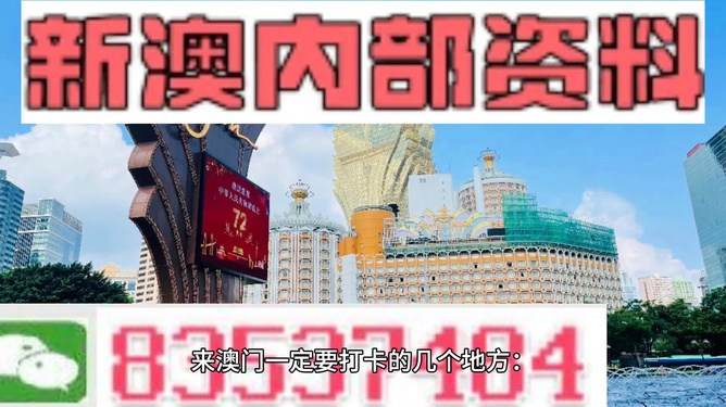 免费精准资料期期中今晚澳门,现象分析定义_CIO57.230增强版