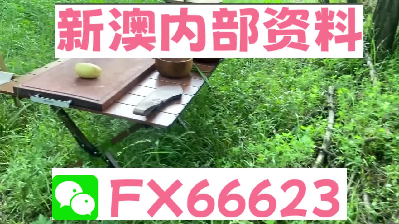 新澳精准内部码资料期期准,高速响应计划执行_SMW57.659限定版