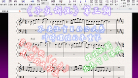 王中王三肖,高效性设计规划_ODE57.227天然版