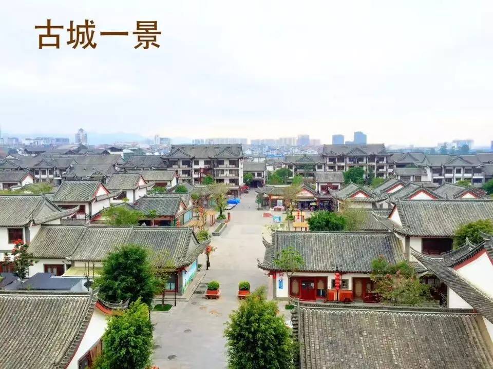 田阳最新网，日常趣事与情感纽带分享平台