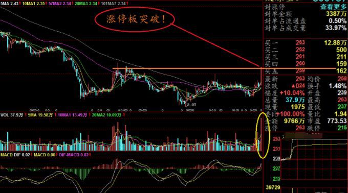 鹏博士股票行情，时代的见证者动态与预测