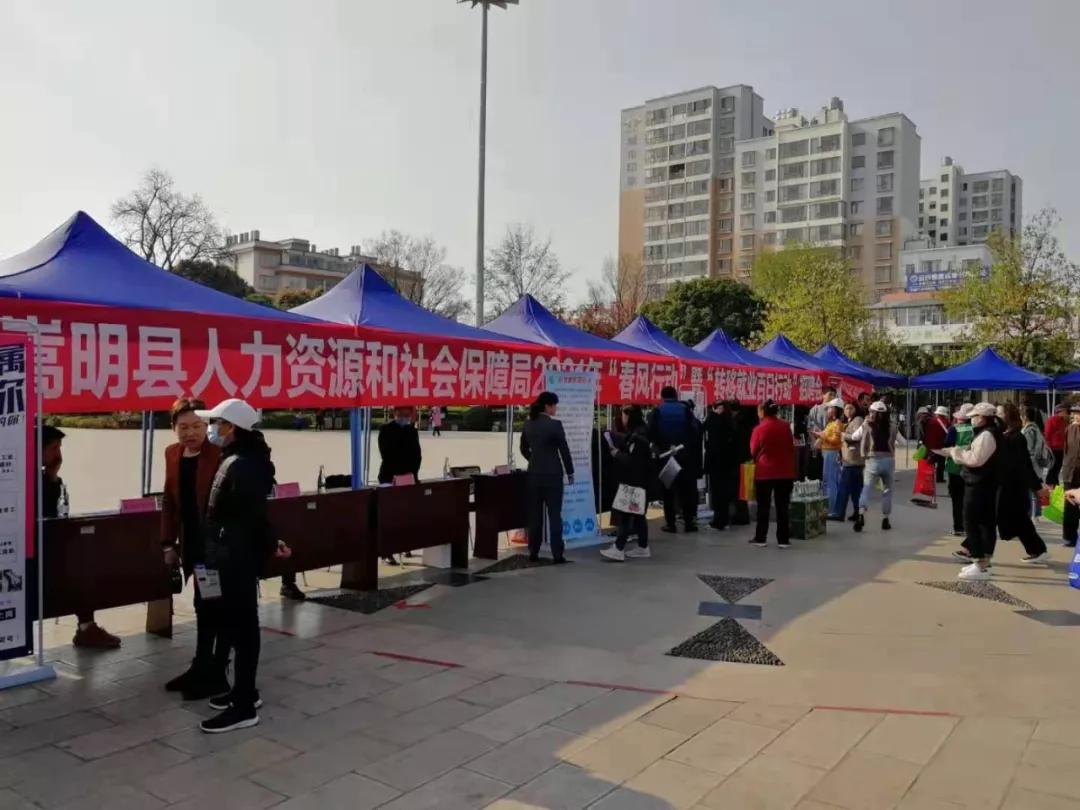 金点子最新招聘信息，科技重塑未来，携手新时代人才共筑梦想！