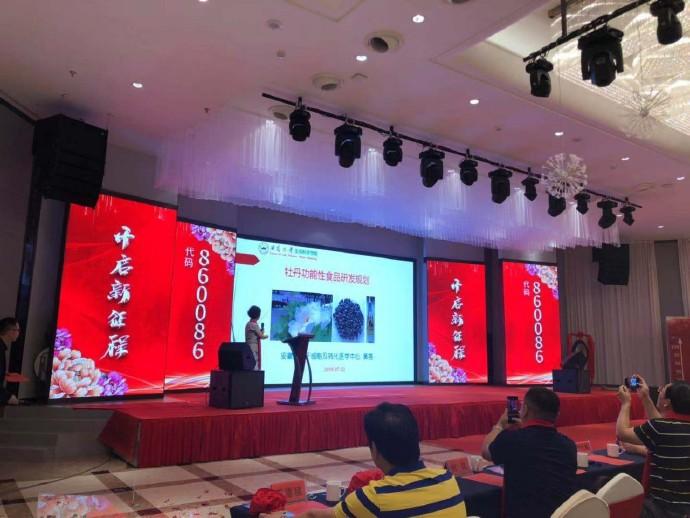 公司上市仪式，自然美景中的探索启航之旅