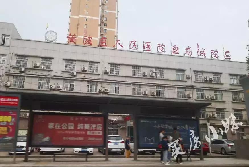 最新黄陂话方言新动态解析