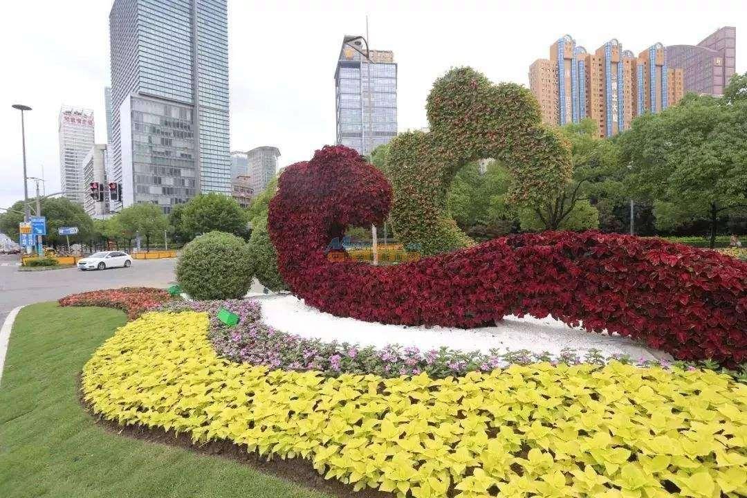 最新绿雕，绿色变革中的自信与成就感之源